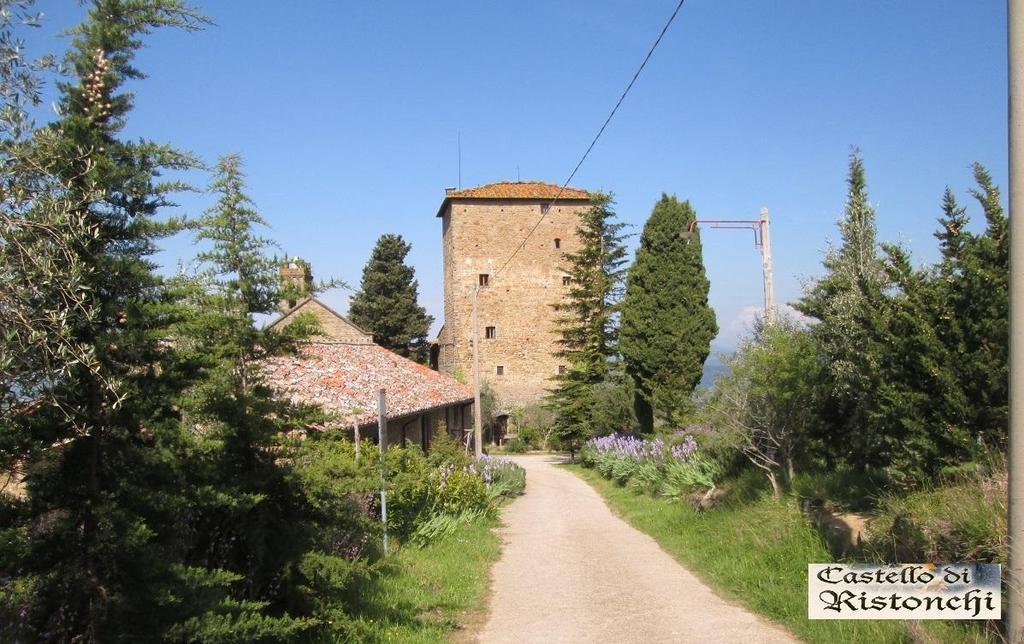 Castello Di Ristonchi Villa Pelago Exterior photo